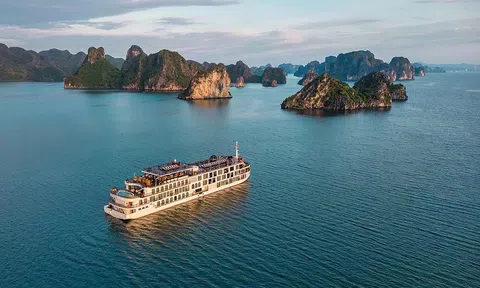 Việt Nam được đề cử ở nhiều hạng mục của World Travel Awards 2024